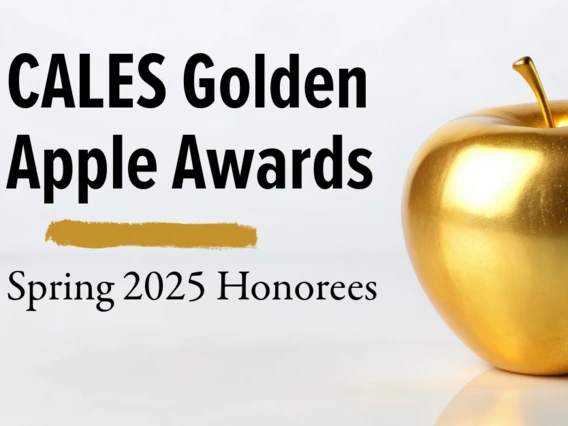 Picture of a golden apple