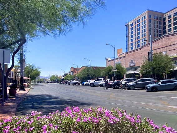 Picture of University Boulevard