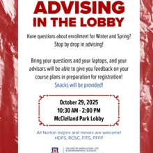 advising in the lobby