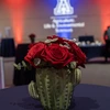 Cactus table decoration at the 2025 ALVSCE Awards Night