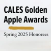 Picture of a golden apple