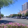 Picture of University Boulevard